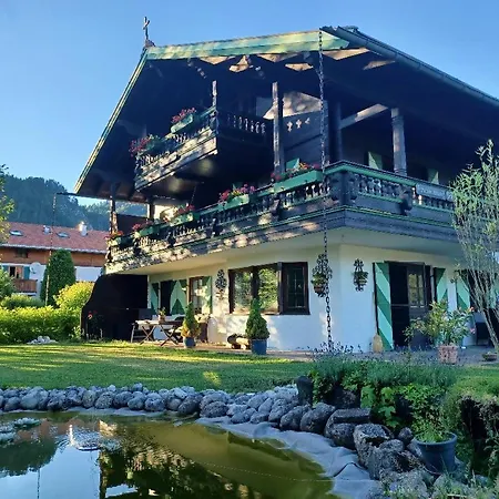 Dr. Datz * 라이트임윙클